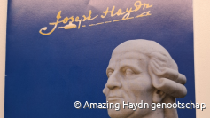 Amazing Haydn "Bayerisches Kammerorchester"